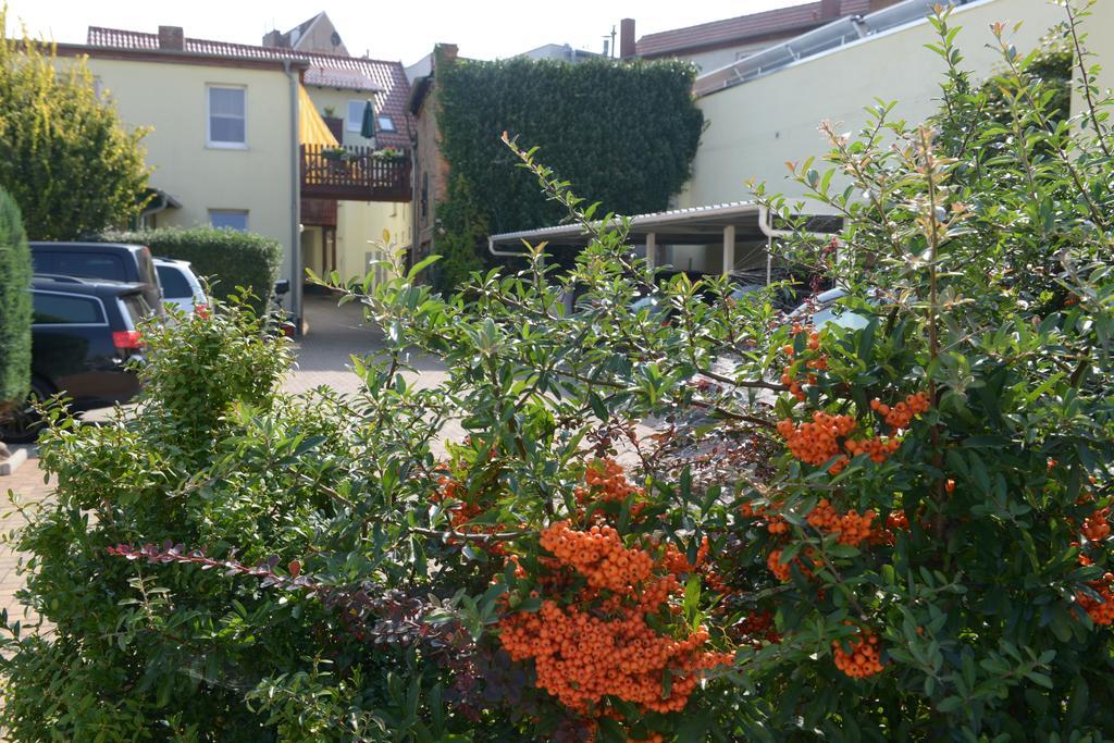 Hotel-Pension Mandy - Adults Only Senftenberg Zewnętrze zdjęcie