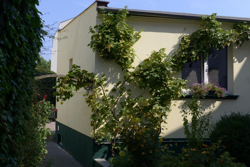 Hotel-Pension Mandy - Adults Only Senftenberg Zewnętrze zdjęcie